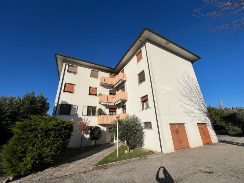 immagine annuncio 6 di 8