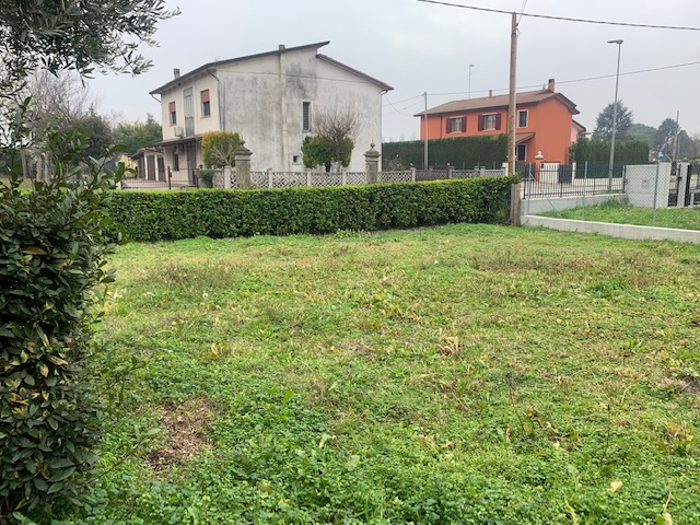 immagine annuncio 1 di 2
