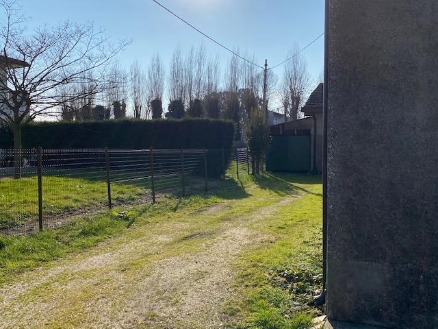 immagine annuncio 5 di 9