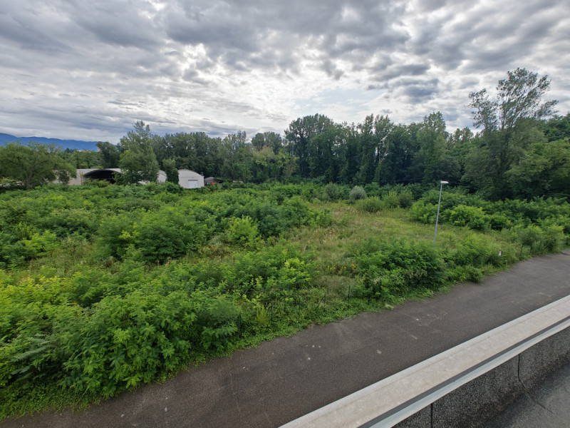 immagine annuncio 1 di 4