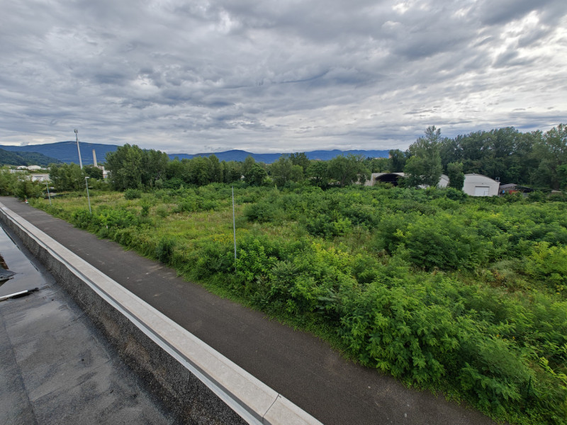 immagine annuncio 2 di 4