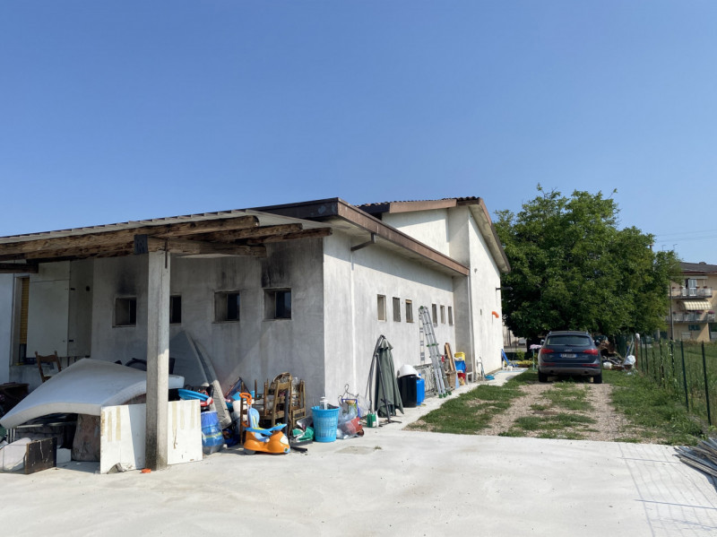 immagine annuncio 3 di 9
