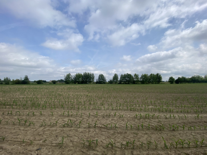 immagine annuncio 3 di 4