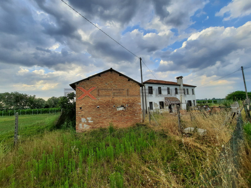 immagine annuncio 3 di 6