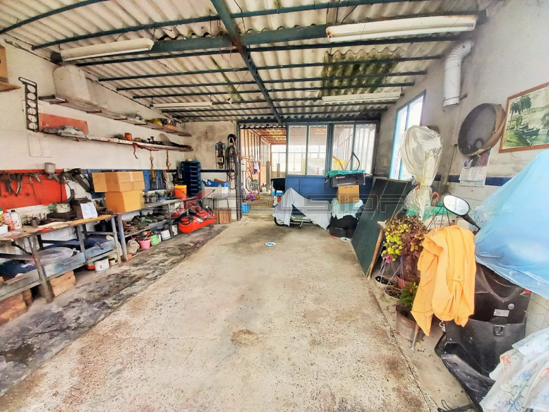 immagine annuncio 3 di 6