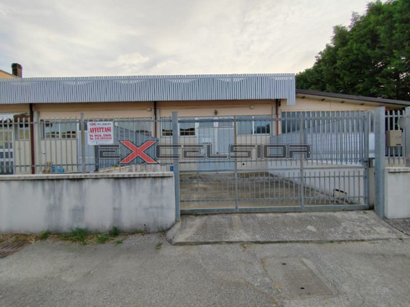 immagine annuncio 2 di 6