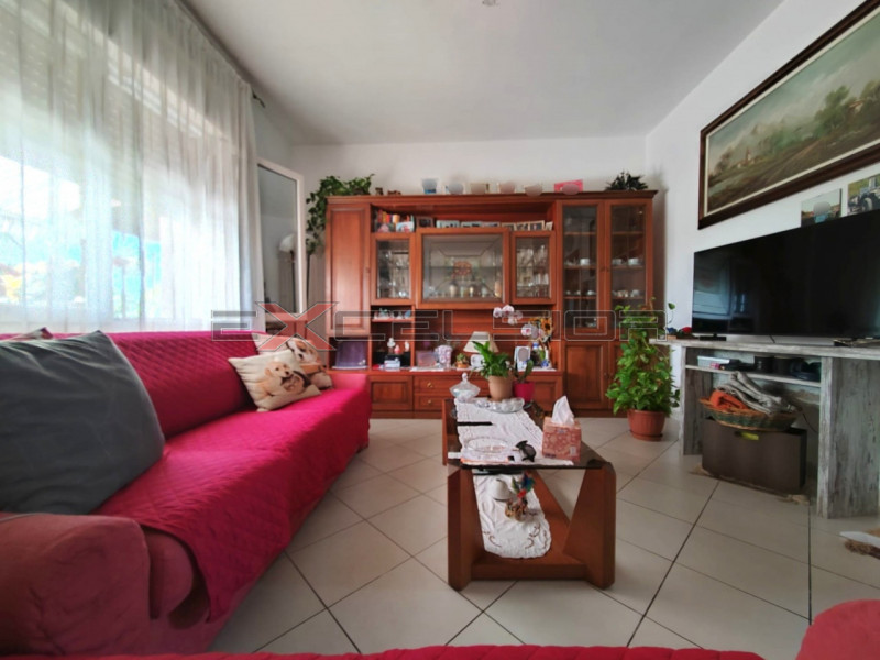 immagine annuncio 3 di 6