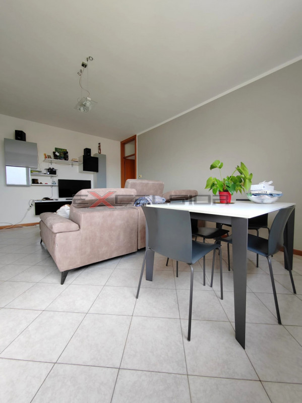 immagine annuncio 3 di 6