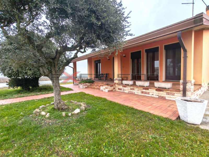 immagine annuncio 7 di 8