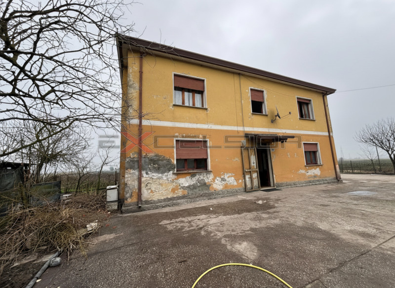 immagine annuncio 2 di 9