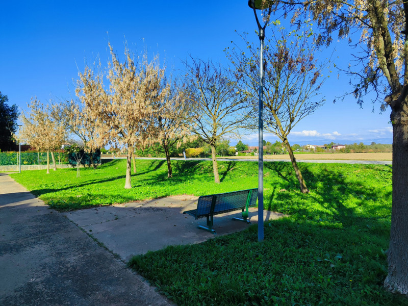 immagine annuncio 1 di 2