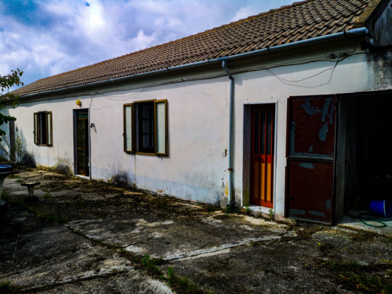 immagine annuncio 4 di 8
