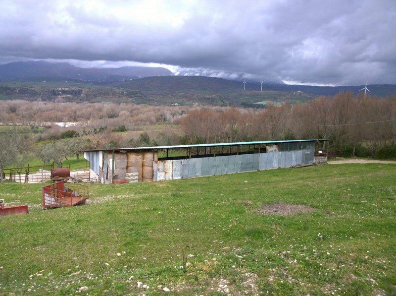 immagine annuncio 2 di 10