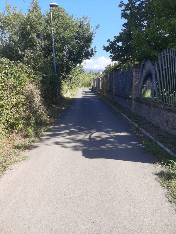 immagine annuncio 4 di 8