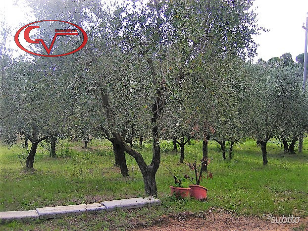 immagine annuncio 9 di 10