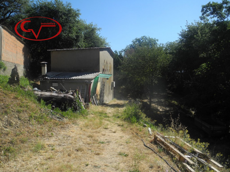 immagine annuncio 5 di 6