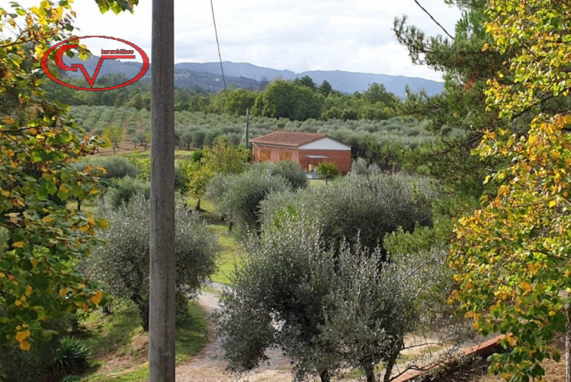 immagine annuncio 3 di 4