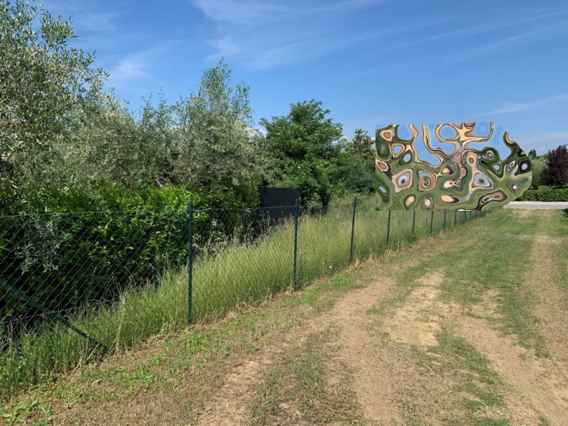 immagine annuncio 5 di 7