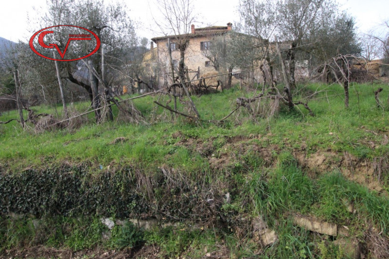 immagine annuncio 7 di 8