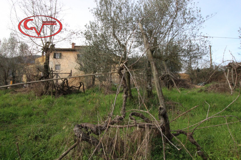 immagine annuncio 2 di 8