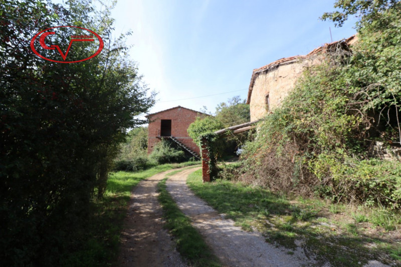 immagine annuncio 6 di 9