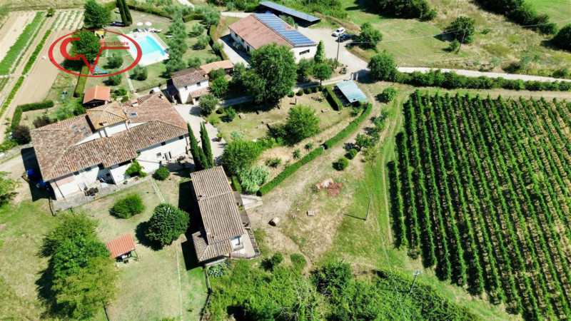 immagine annuncio 7 di 9