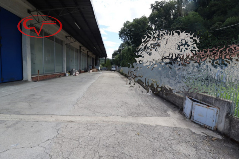 immagine annuncio 6 di 9