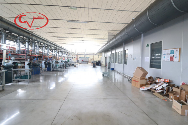 immagine annuncio 4 di 9