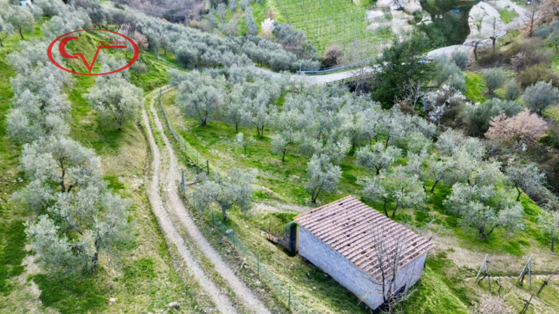 immagine annuncio 2 di 7