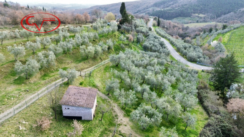 immagine annuncio 5 di 7