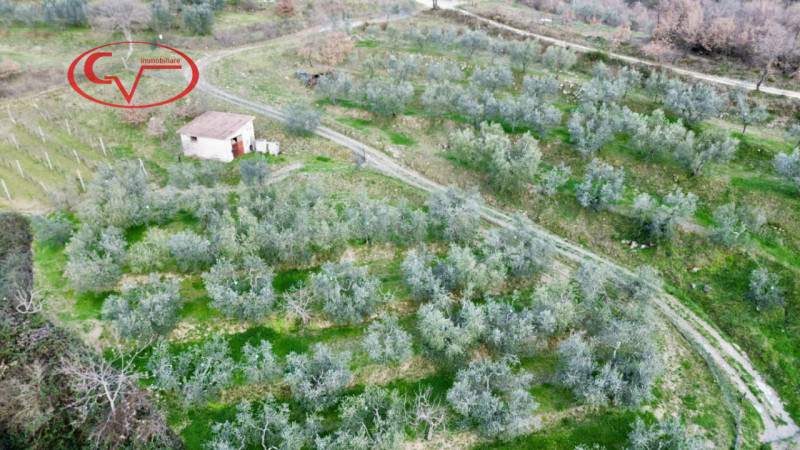 immagine annuncio 1 di 7