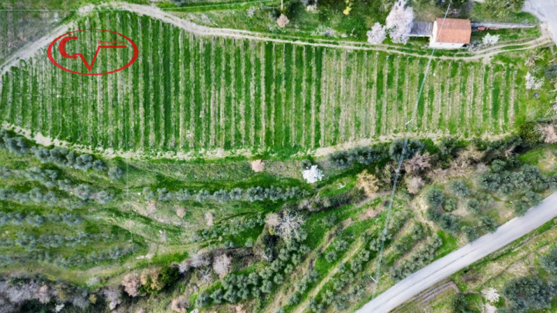 immagine annuncio 6 di 7