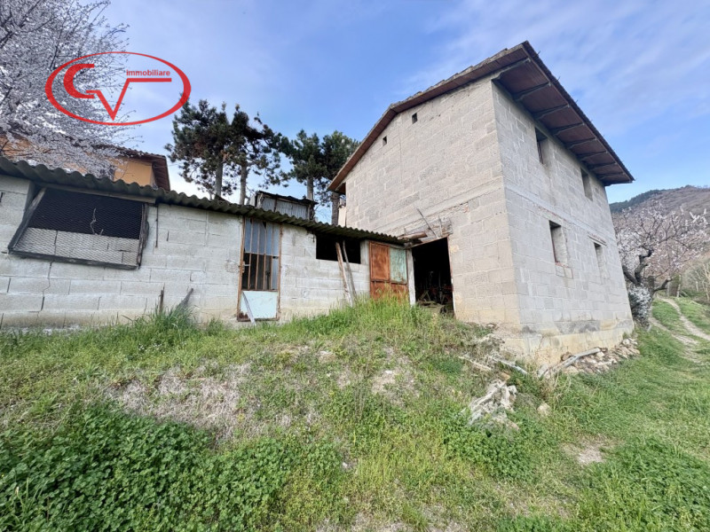 immagine annuncio 7 di 10