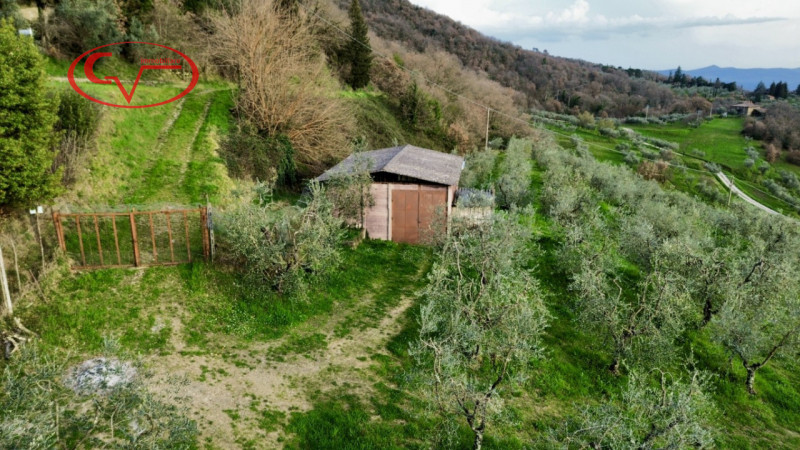 immagine annuncio 2 di 8