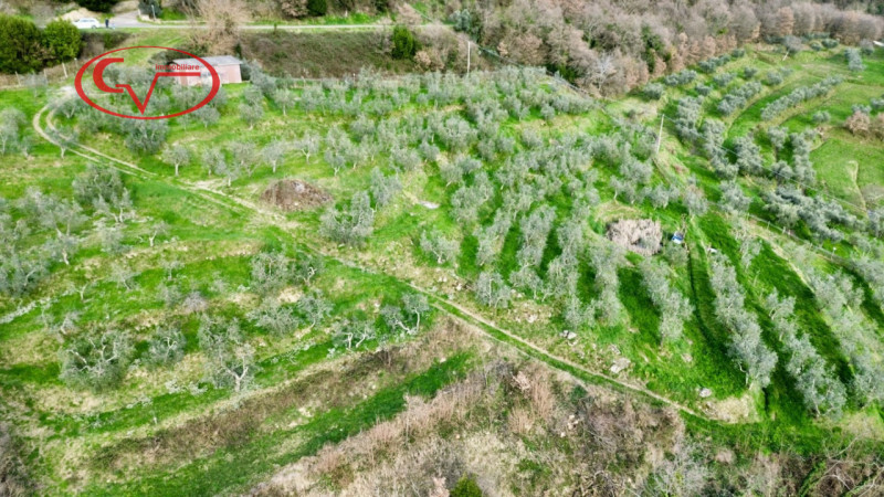 immagine annuncio 3 di 8