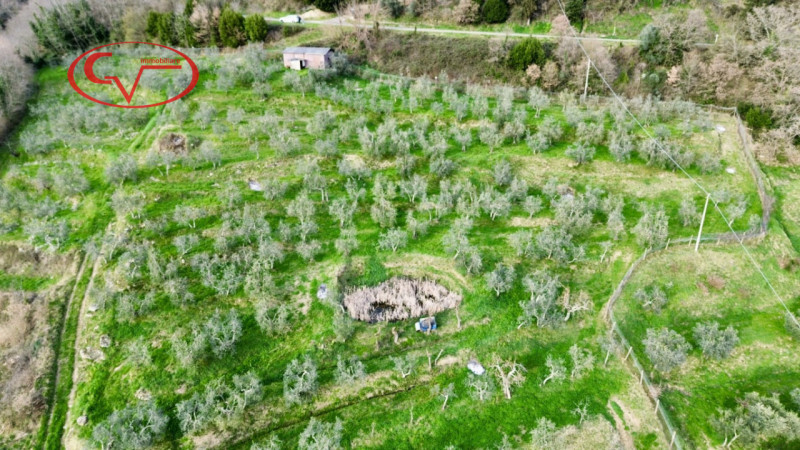 immagine annuncio 6 di 8