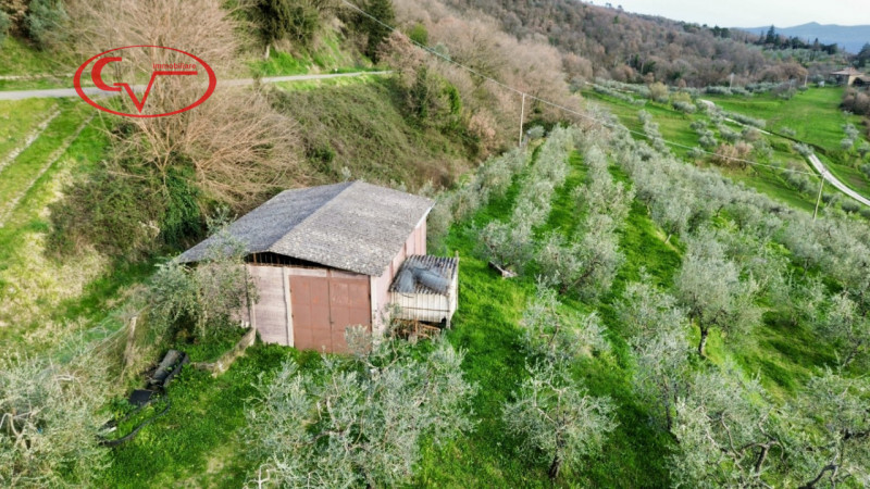 immagine annuncio 4 di 8