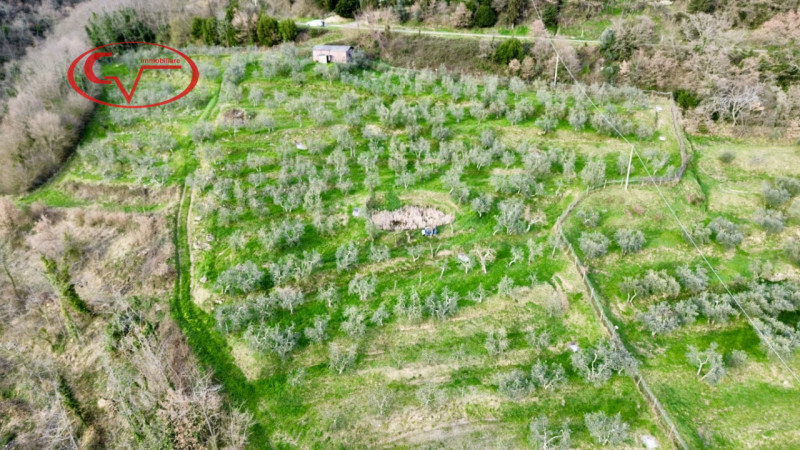 immagine annuncio 7 di 8