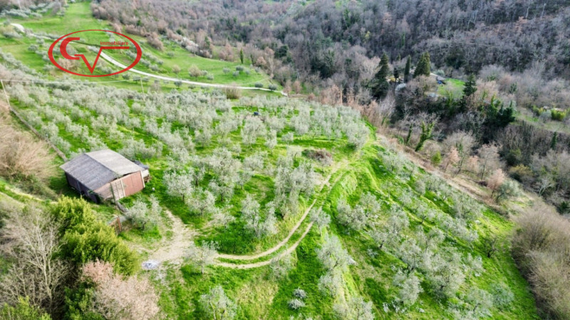 immagine annuncio 5 di 8