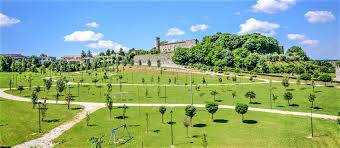immagine annuncio 4 di 9