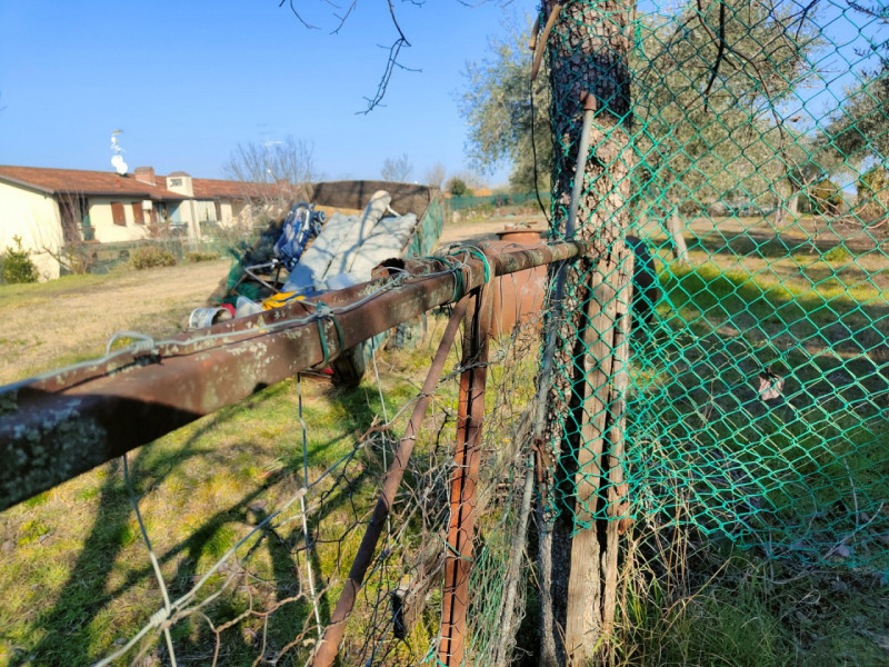 immagine annuncio 7 di 8