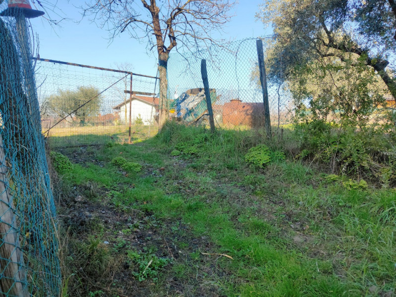 immagine annuncio 2 di 8