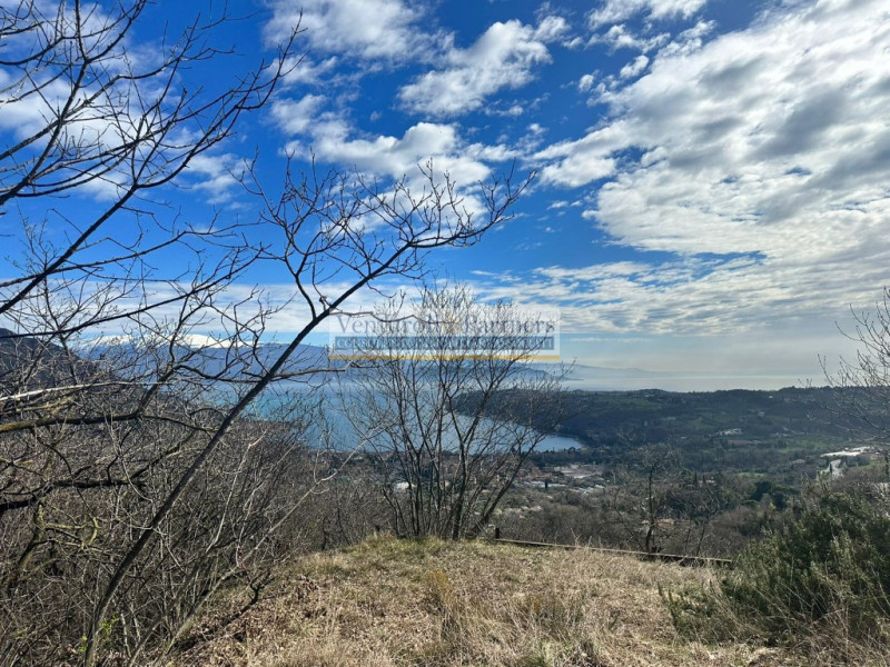 immagine annuncio 5 di 9