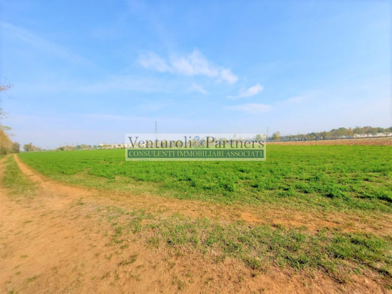 immagine annuncio 4 di 9