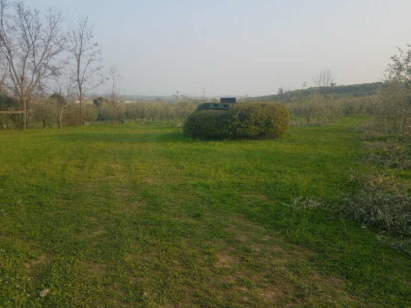 immagine annuncio 3 di 8