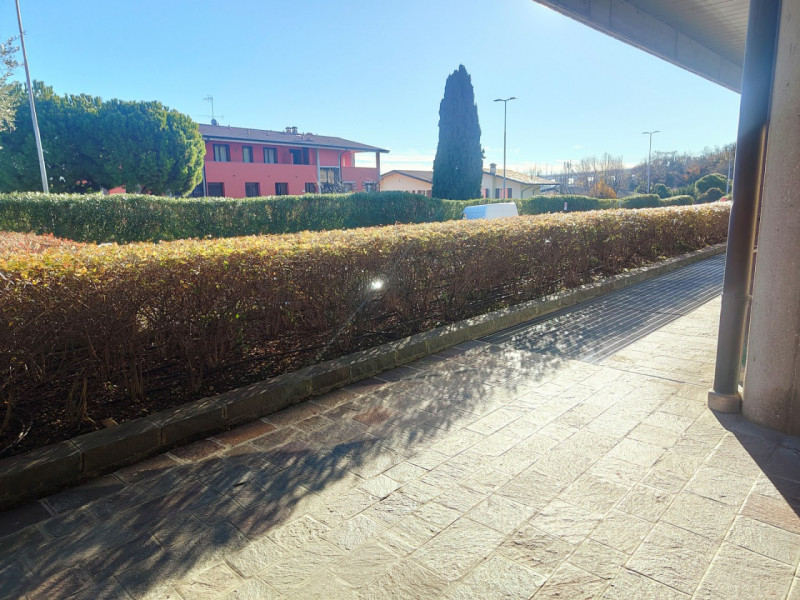 immagine annuncio 5 di 6