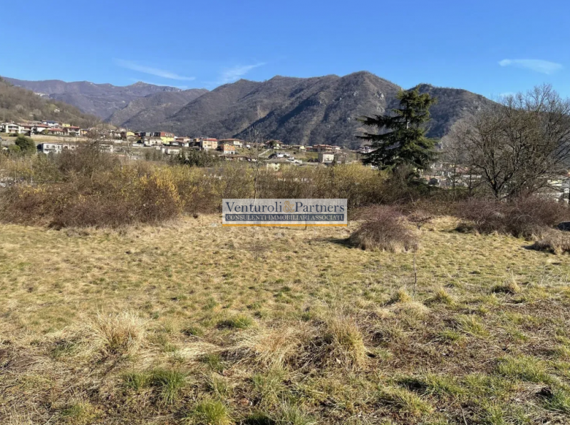 immagine annuncio 1 di 6