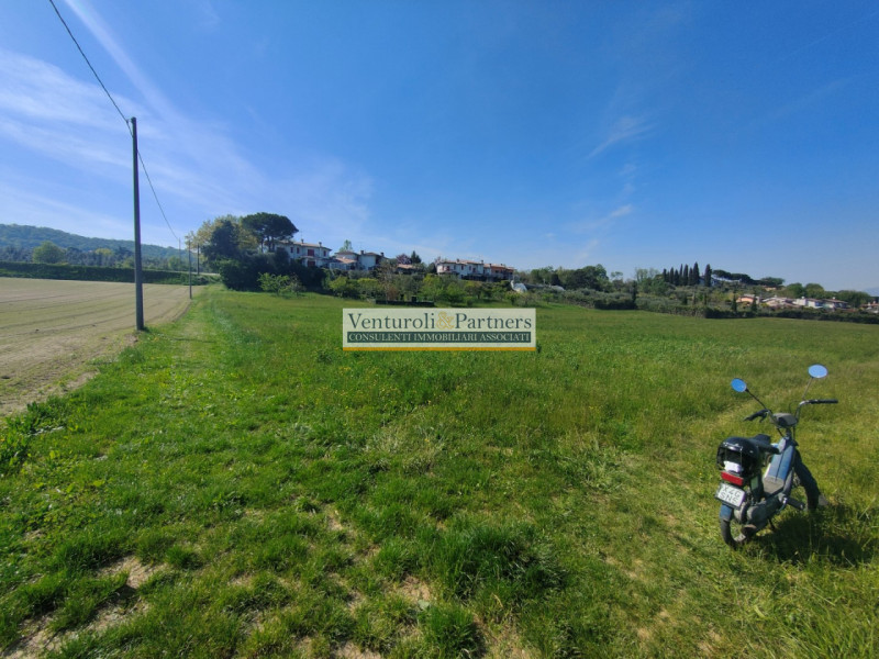 immagine annuncio 3 di 6
