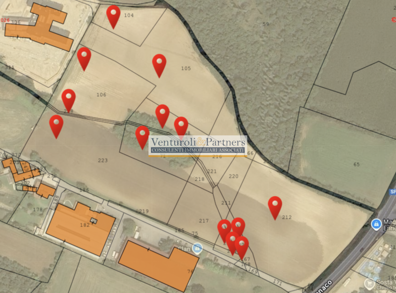 immagine annuncio 6 di 7