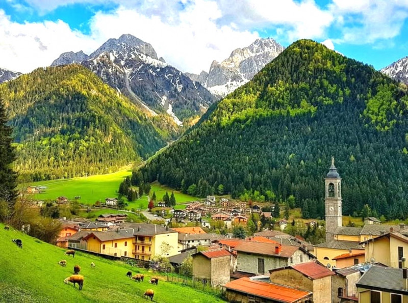 immagine annuncio 1 di 10